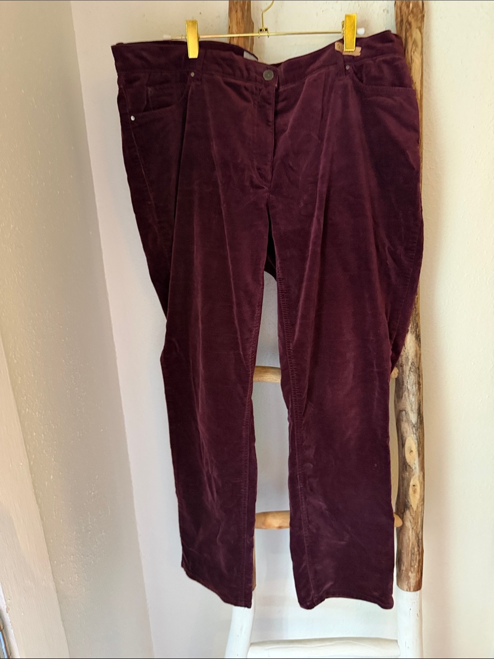 Pure Collection Rich Burgundy Velvet 5 Pocket Pants Jeans Deep Wine 12 Short